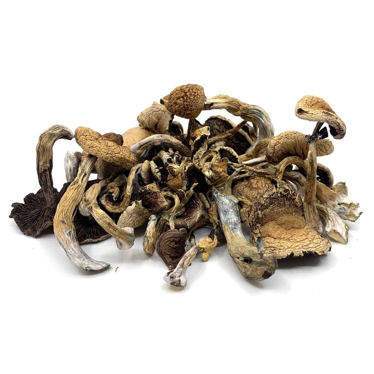 golden-teachers Buy Golden Teacher Online Oregon