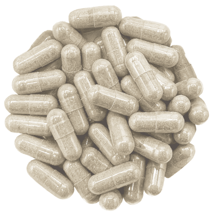 Psilocybin Microdose Capsules