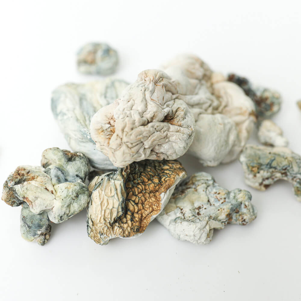 enigma-shrooms-3-magic-mushroom-delivery-toronto Enigma Magic Mushrooms - Image 1